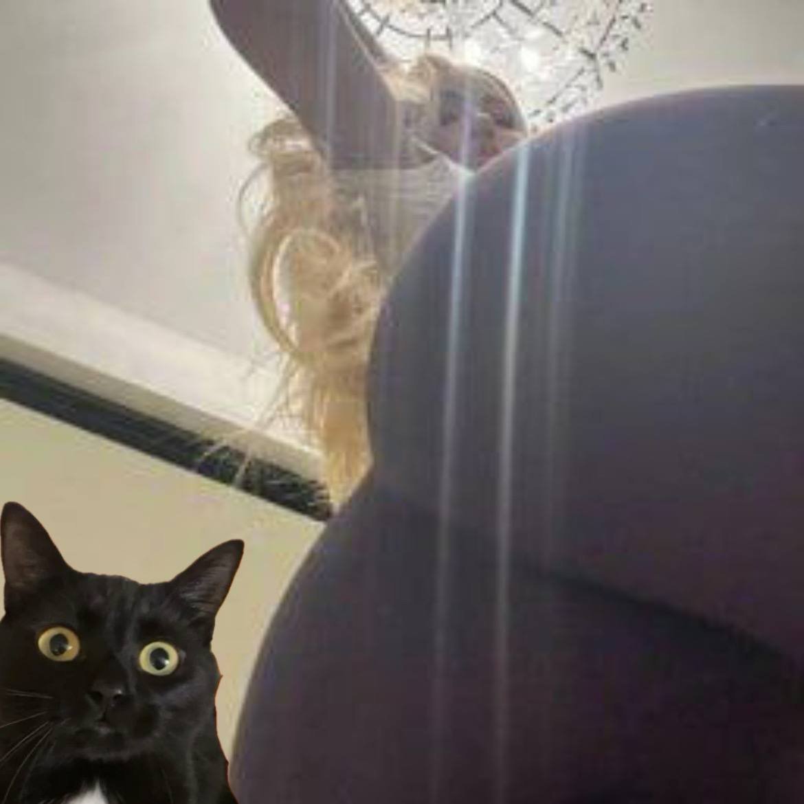 AndreaVonBags's tweet photo. My $mother said she keeps cats in her butt, thats why its so big, so i decided to sneak in.

Remember the name, andrea #VONSPEED. https://t.co/BQ6jg6Yo2X