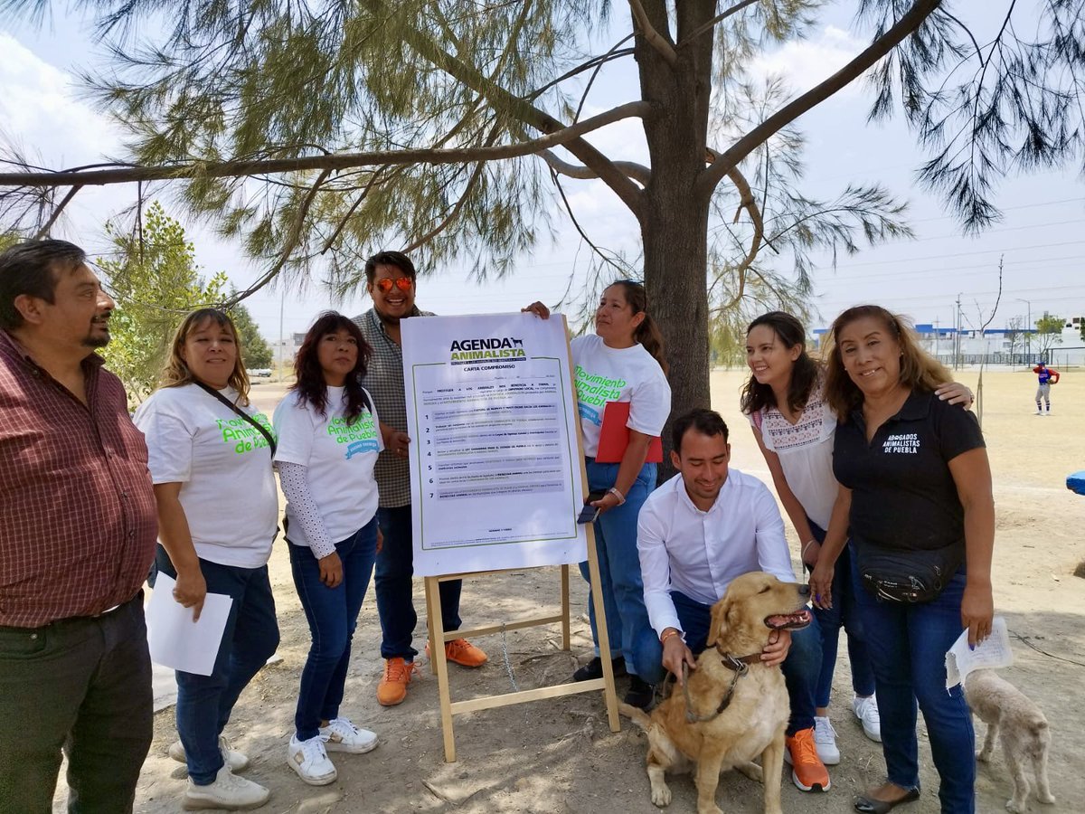 leal8antonio's tweet image. Somos familia perruna, hemos adoptado, sido hogar temporal, rescatado, participado en manifestaciones…

CLARO FIRMARÍAMOS la #AgendaAnimalista🐶🐱🧡

El D9Local #Cuautlancingo #Puebla contará + que con un diputado con una nueva generación q dice #NoAlMaltratoAnimal  #SíPodemos⚡️