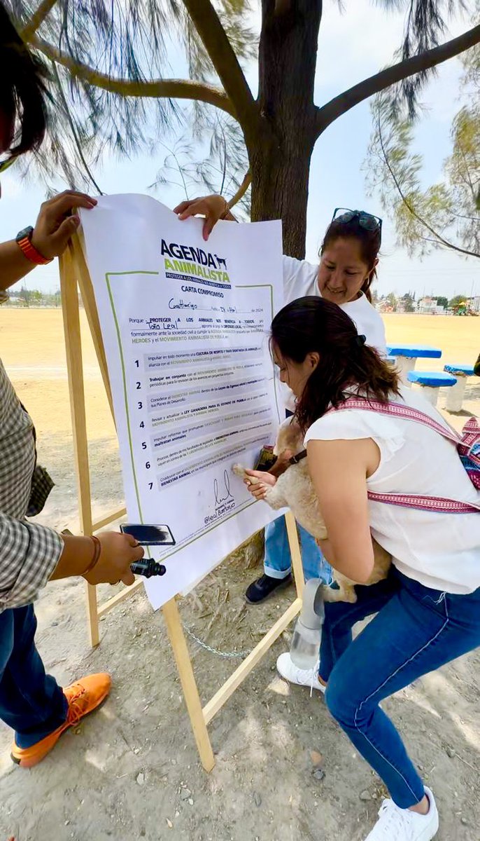 leal8antonio's tweet image. Somos familia perruna, hemos adoptado, sido hogar temporal, rescatado, participado en manifestaciones…

CLARO FIRMARÍAMOS la #AgendaAnimalista🐶🐱🧡

El D9Local #Cuautlancingo #Puebla contará + que con un diputado con una nueva generación q dice #NoAlMaltratoAnimal  #SíPodemos⚡️