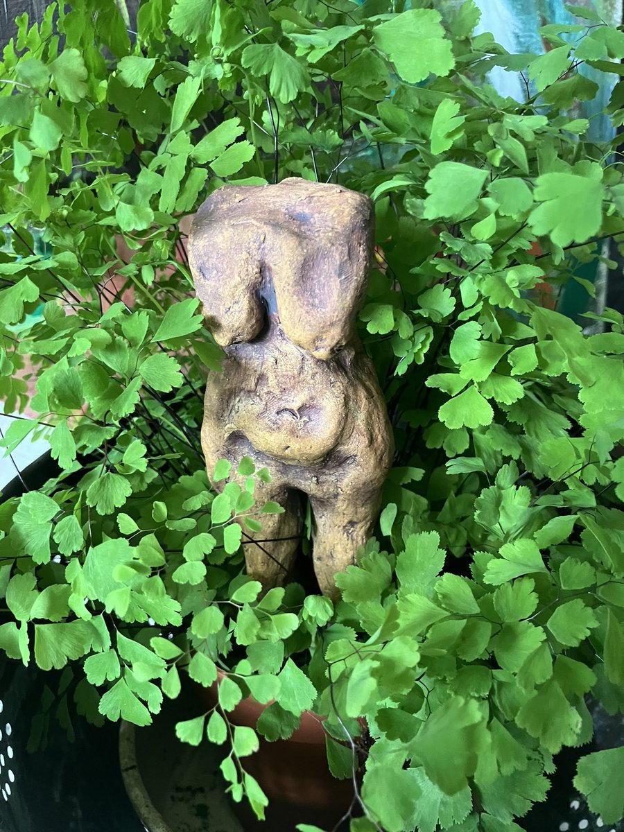 I think the ceramic self portrait I fashioned looks right at home in my fern plant . Just like her creator . #ceramics #art