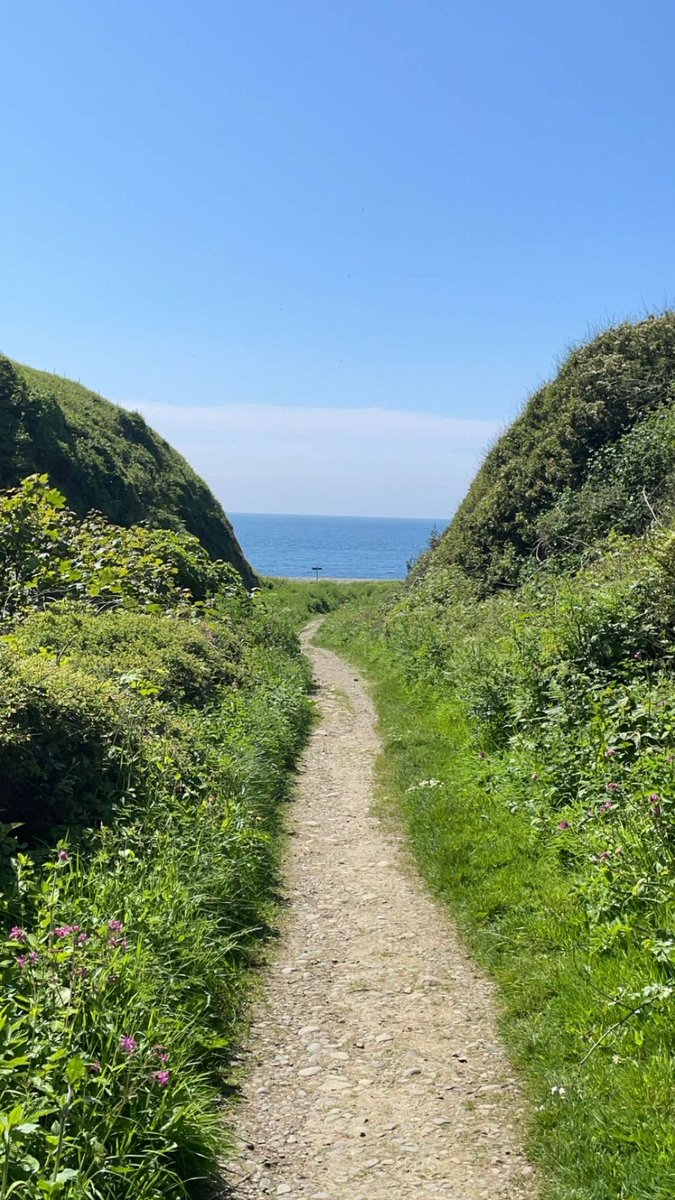 anzo2002's tweet photo. 📍St Ninnian’s Cave 🏴󠁧󠁢󠁳󠁣󠁴󠁿🪨🌞🗺️ #scotland #stninnianscave #scenery https://t.co/EHEDZ3wrbl