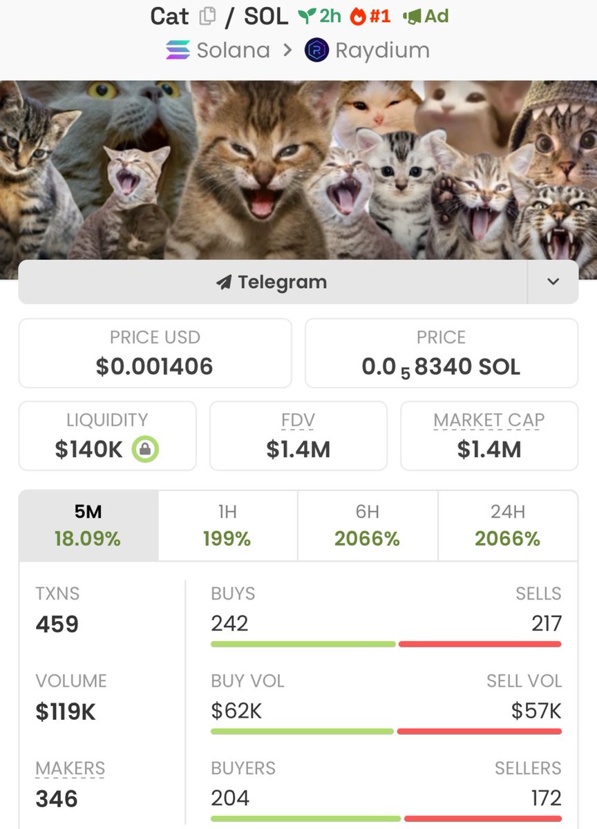 Another cook posted by Beety 👨‍🍳

$256k -> $1.4m ATH (5.5x) 🔥