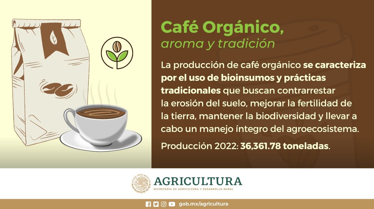 🌿☕️ El café orgánico no solo cuida de tu paladar, sino también del medio ambiente y de las comunidades cafetaleras. ¡Y mejor si es 100% mexicano! 🌍 Conoce más en nuestro blog: bit.ly/4ayZD6Q Comparte fotos de tu café del día.