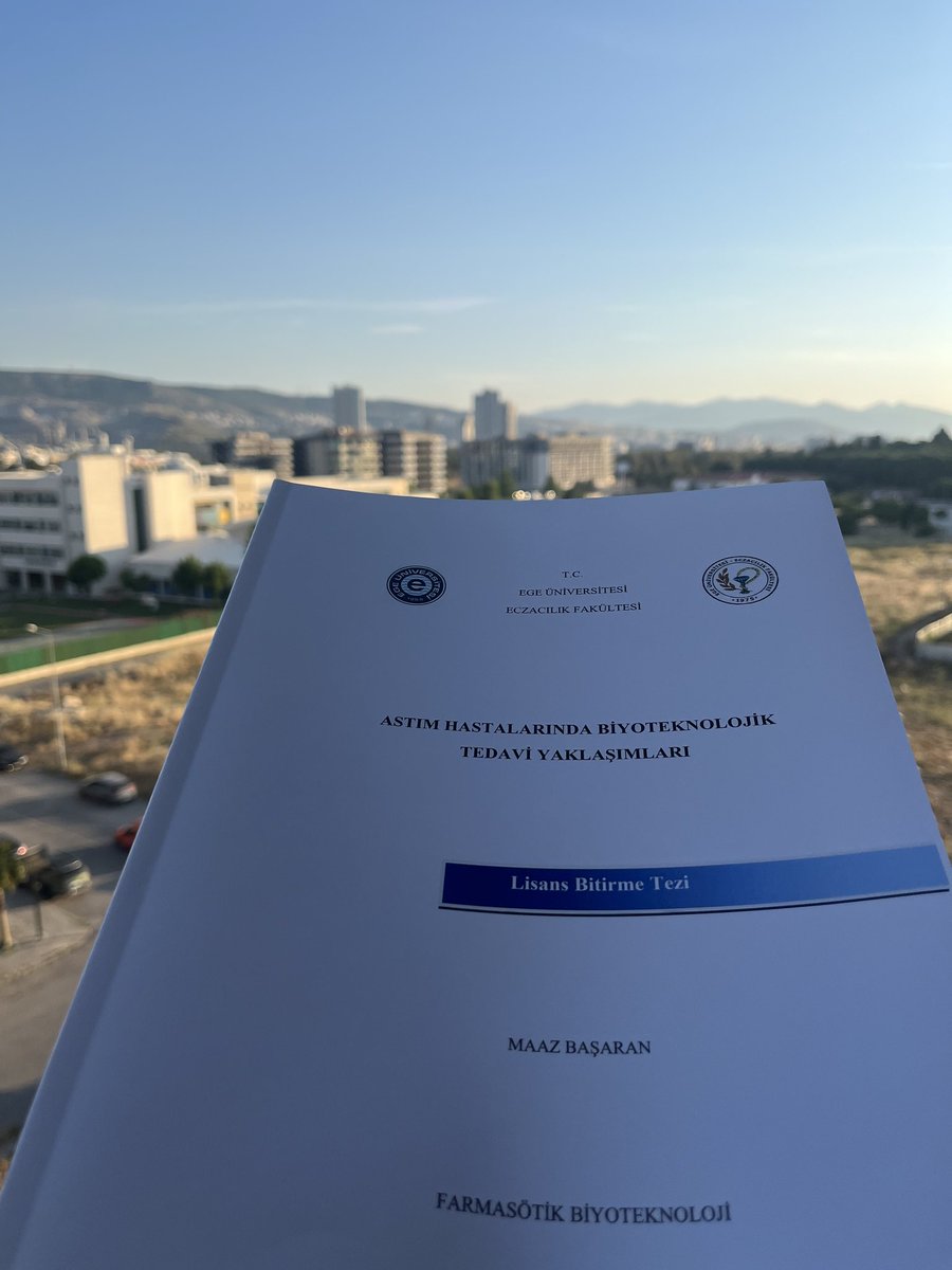 Sen mi yapcaksın sen mi edeceksin dediler
Valla ben yaptım 🤠🫡