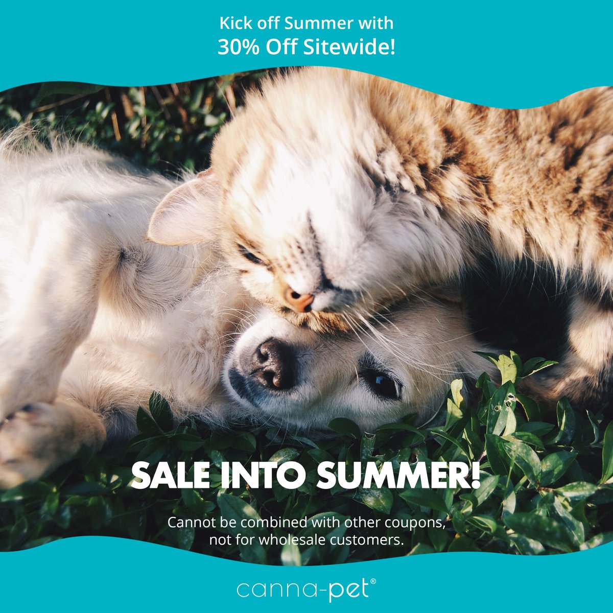 Summer is here, and so is our amazing "Sale in Summer" promotion! 🌞 Enjoy a sizzling 30% OFF on ALL our CBD pet products! Shop Now blackdahlia.co/canna-pet-prod…