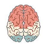 md1talk's tweet photo. اكثر قنوات يوتيوب استفدت منها وانا طالب وللحين تفيدني: 

- Dirty medicine
- Osmosis 
- Strong medicine 
- Armando 
- Geeky meds 
- Med cram 
- Ninja nerd 
- Medzcool 
- Alila medical media https://t.co/KM8gilMZ5w