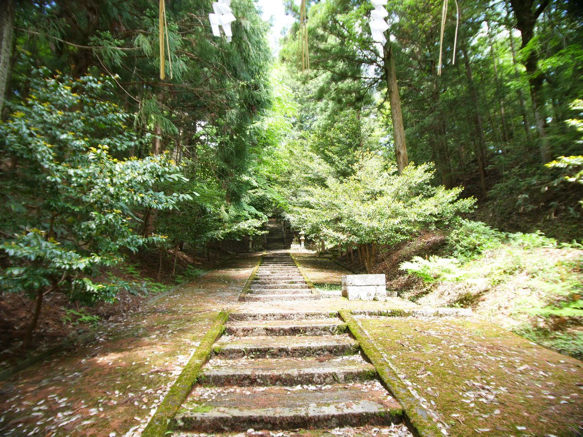 Keizo_Studio's tweet photo. 島根県仁多郡奥出雲町佐白に鎮座している伊賀武神社。
御祭神は五十猛命、和歌山で祖父が林業をしていたのでご縁を感じました。
緑豊かな土地で心地よい風が吹いていました。 https://t.co/7NVSMN1Snw