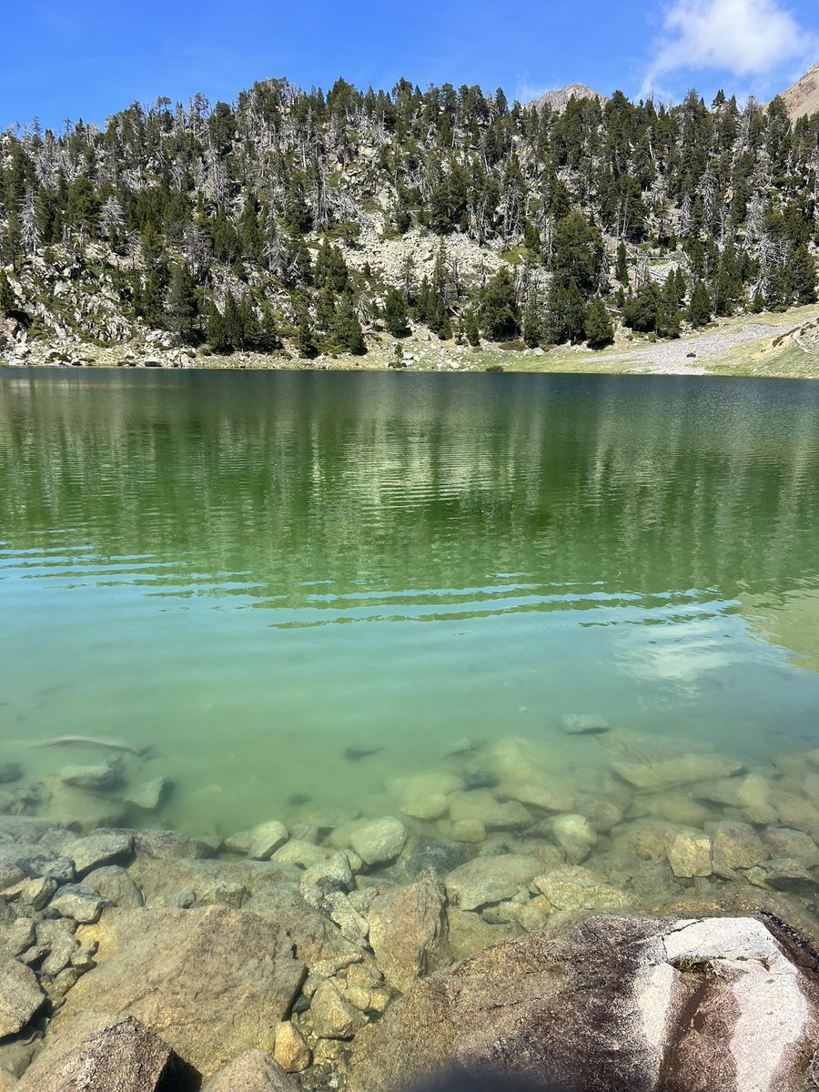 corinne_crabe's tweet photo. Le massif du #neouvielle en cette fin mai. Entre névés et lacs turquoises. Encore de la neige à partir de 2200 m. Les refuges d’#Oredon et de #bastan ouverts #reservenationale #aurelouron #pyrenees @Meteo_Pyrenees https://t.co/sINIkJwy0T