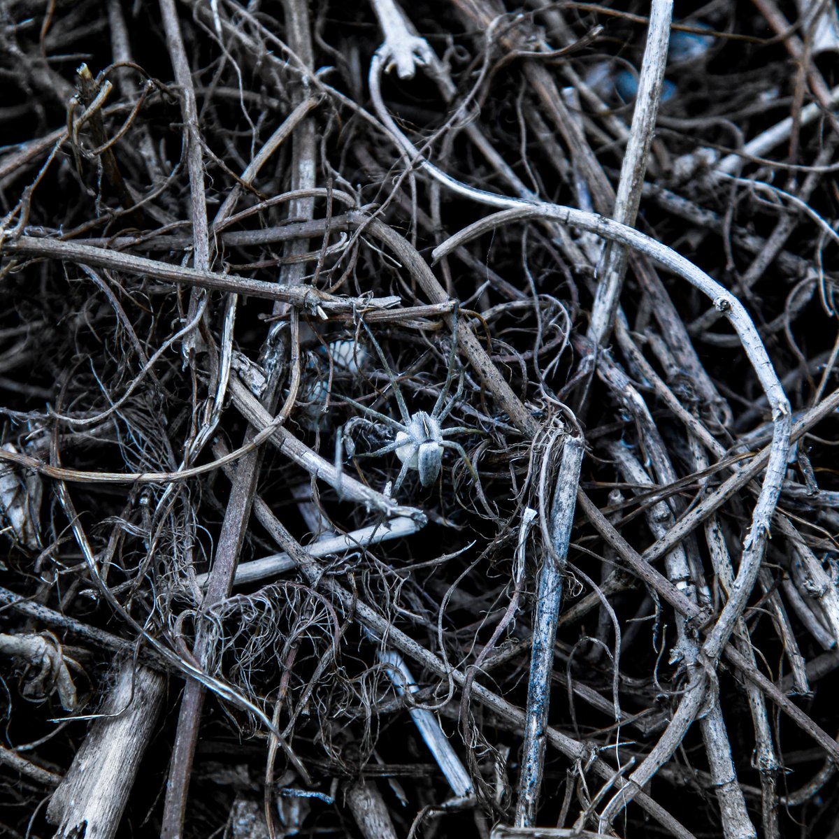 Makepicc's tweet image. Check out my item listing on OpenSea! opensea.io/assets/matic/0… via @opensea #NFTArtist #NFTCollection #NFTCommunity #NFTDropAlert #NFTGiveaway #NFTInvest #NFTMarketplace #NFTProject #NFTShill