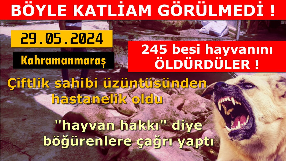 💥Başıboş köpekler yine katliam yaptı.

👉Zarar: 1 milyonun üzerinde.. İflas etti. Bayramda satacak koyunu kalmadı

👉Adem Çolak, üzüntüsünden hastanelik oldu. Yardım bekliyor

⚠️Başıboş köpek saldırısı
🔴245 besi hayvanı öldürüldü
📍Kahramanmaraş / Dulkadiroğlu

<a href="/RTErdogan/">Recep Tayyip Erdoğan</a>