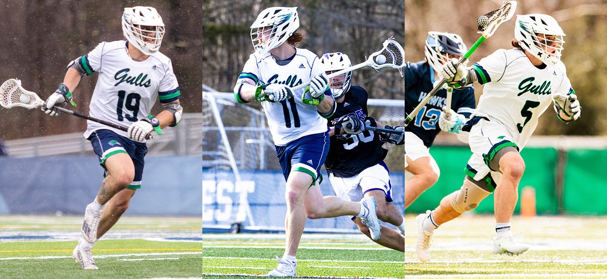 MLAX: @EndicottMLAX Places Three On NEILA All-New England Team STORY ➡️ ecgulls.com/x/zztyl