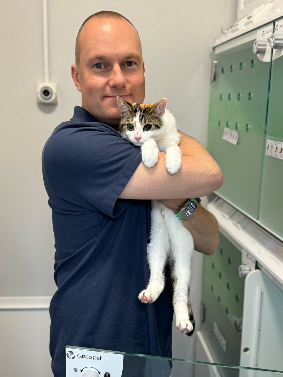 Coco and Honey came in for their Spay operations today. They were adorable and we couldn’t resist a cuddle 🐈🐈🥰🥰 

#neuteryourcat #Cats #Kittens #Vets #Vets4Pets #Guildford