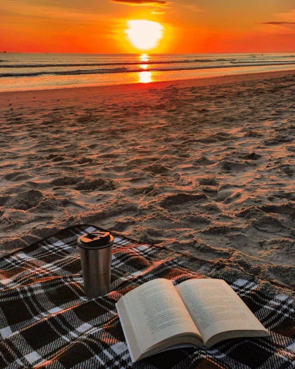 📚 "Leer es como escuchar música, como contemplar un paisaje, como salir a dar un paseo por la playa.” 

🖋 Roberto Bolaño