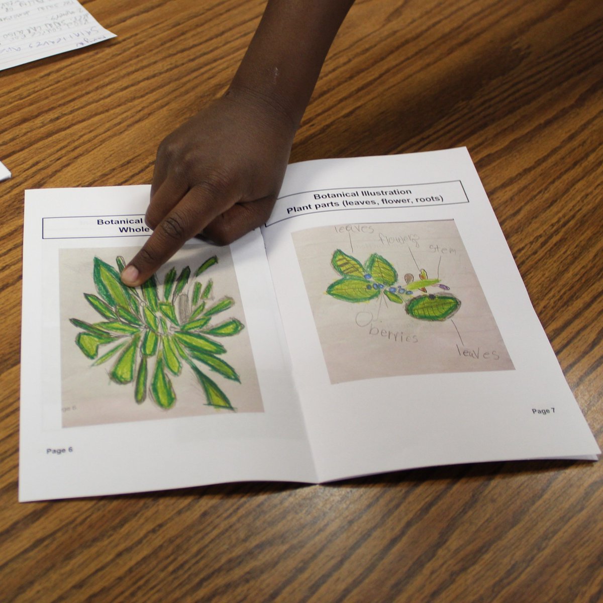 stembytaf tweet media