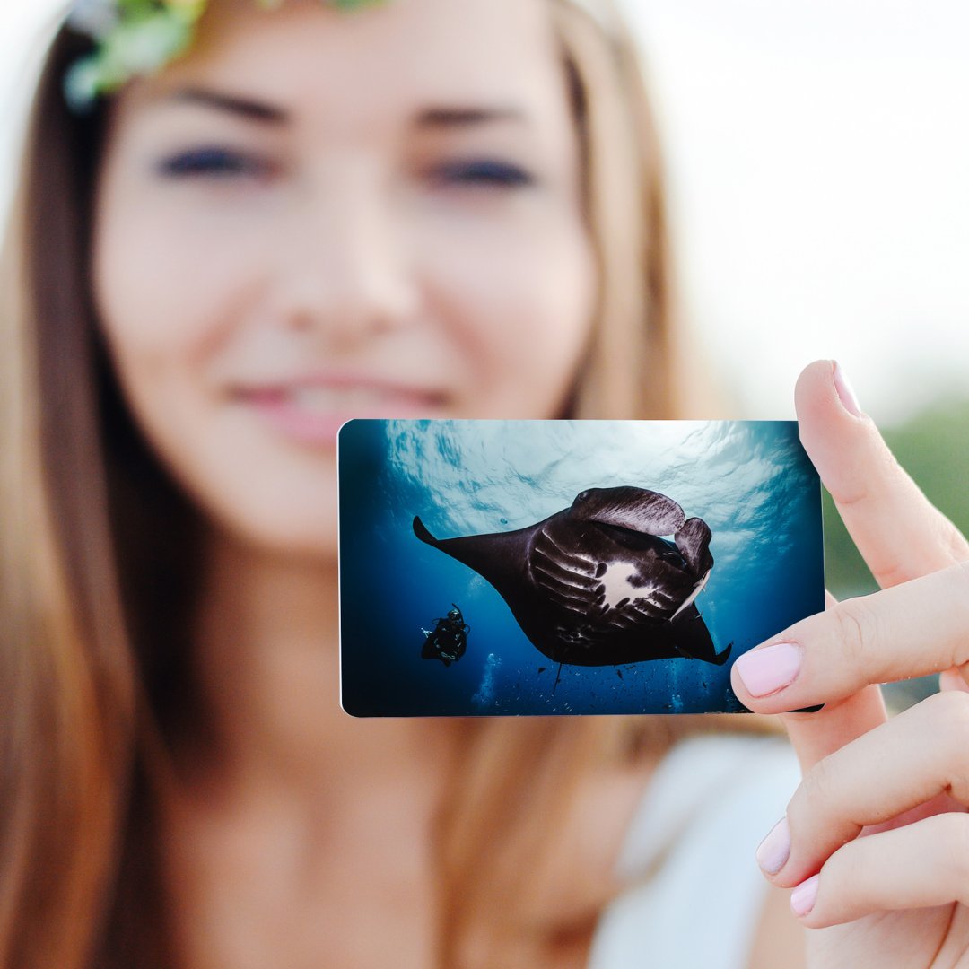 Your PADI card is more than proof of your certification - it's a reminder of your favorite marine life and memories underwater 🥹 Join PADI Club to get 25% off a new certification card (and access to exclusive limited-edition designs!) padi.co/schq0w93