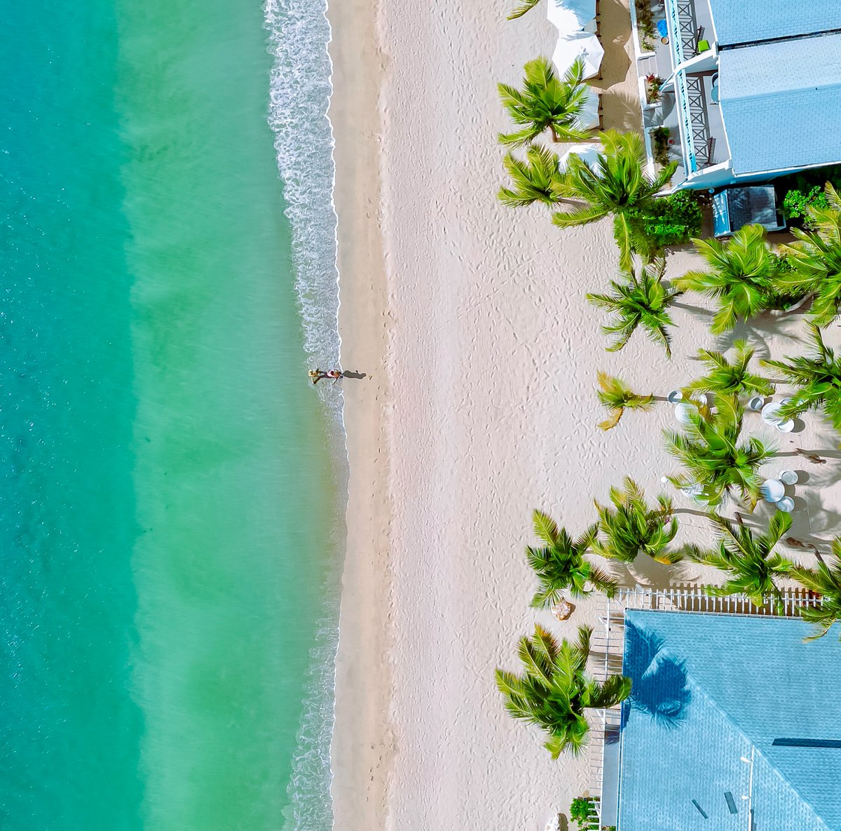 Heaven 🌴
 
#carlislebay #caribbean #antigua #picoftheday  #virtuoso #leadinghotelsoftheworld #lhwtraveler #travelgram #lhwtravelmoments