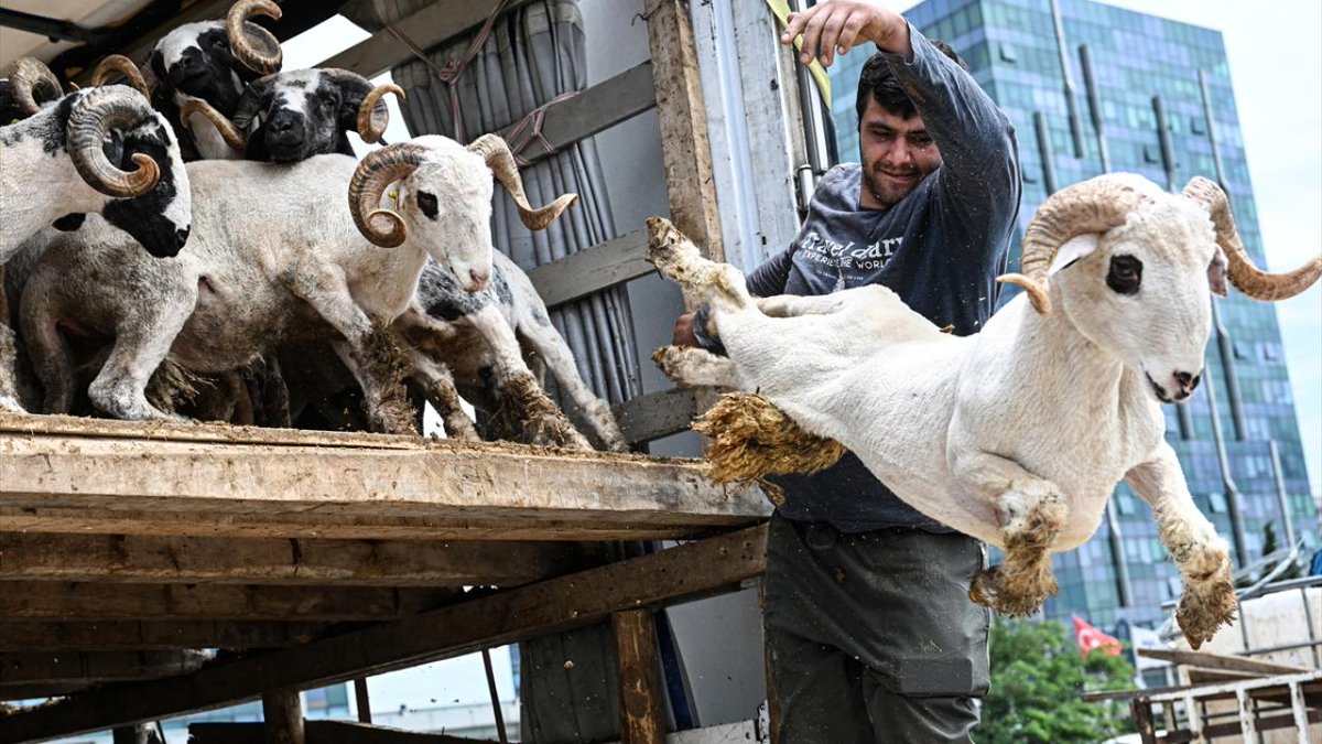 EGM'den Kurban Bayramı öncesi uyarılar: Hırsızlığa ve dolandırıcılığa dikkat anlatilaninotesi.com.tr/20240529/10843…