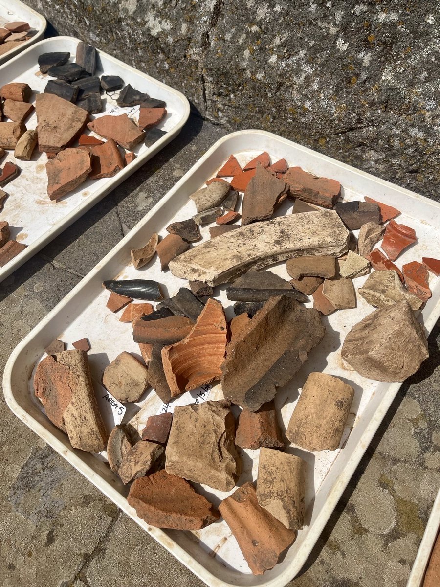 One of our participants, Medi Jones-Williams (@BristolAnthArch), is taking over each week to provide updates! Our on-site ceramicists have their hands full already! Pottery is reshaping our understanding of #FaleriiNovi’s chronology & economy, incl daily life & foodways!🏺