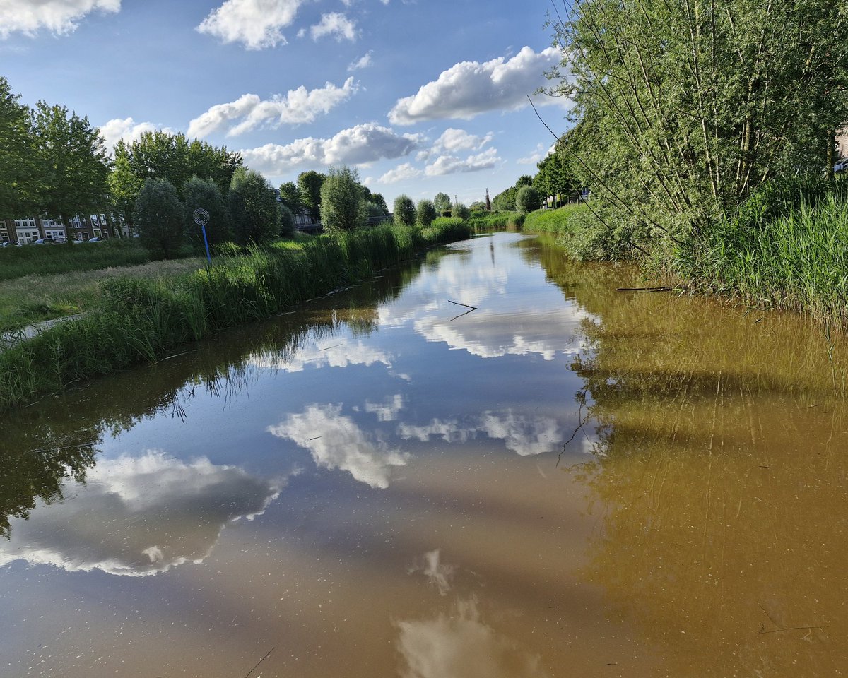 Dag 1 van de Avond4daagse.
Gelukkig is het droog