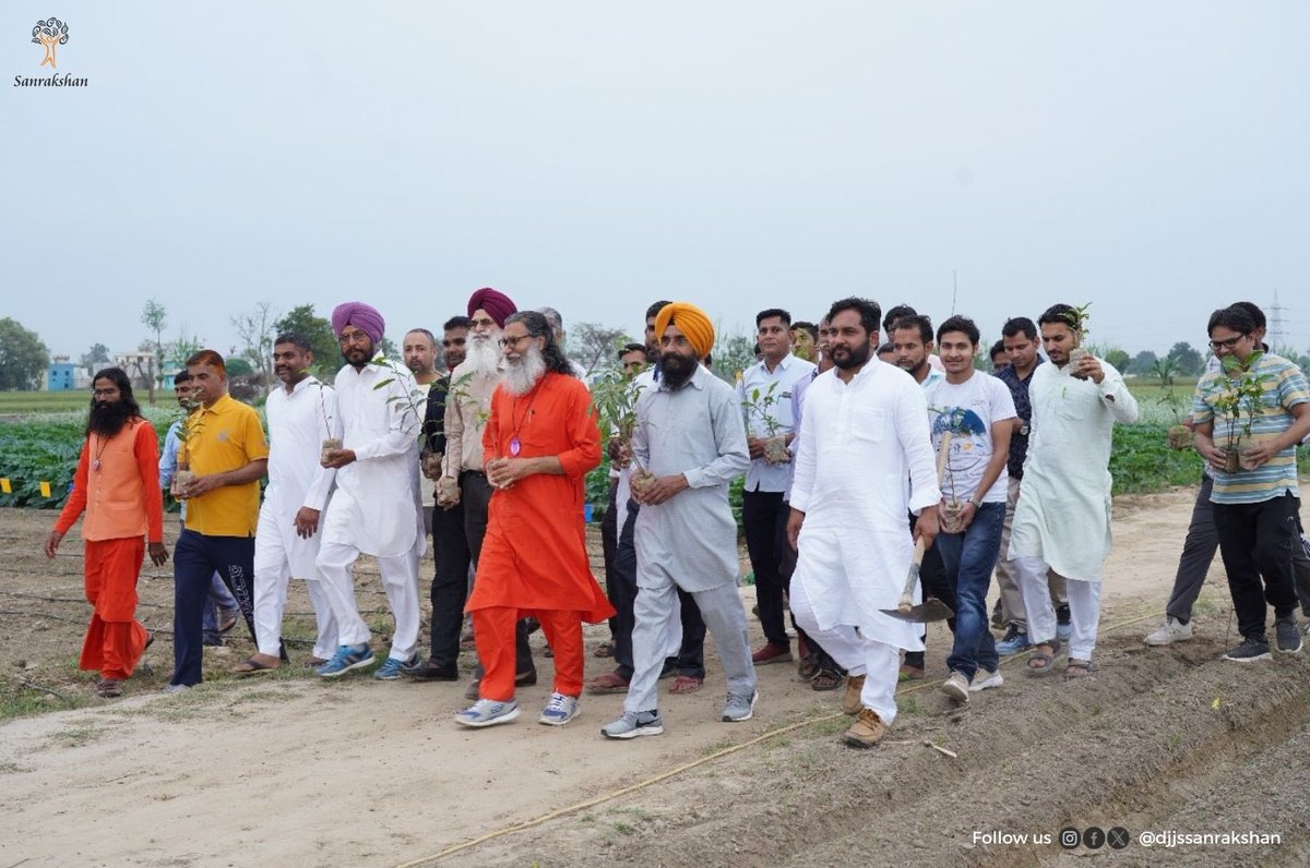 djjssanrakshan's tweet photo. As part of its #TheGreenDrive campaign, #DJJSSanrakshan planted 250 Jasmine saplings in Nurmahal, #Punjab with @DrRajeevBJP in attendance. The event aligned with DJJS Nurmahal’s goal of planting 25k #Trees this year, promoting a greener future.

Read more: https://t.co/RmwMBLDr7B https://t.co/ch7F8JZoAy