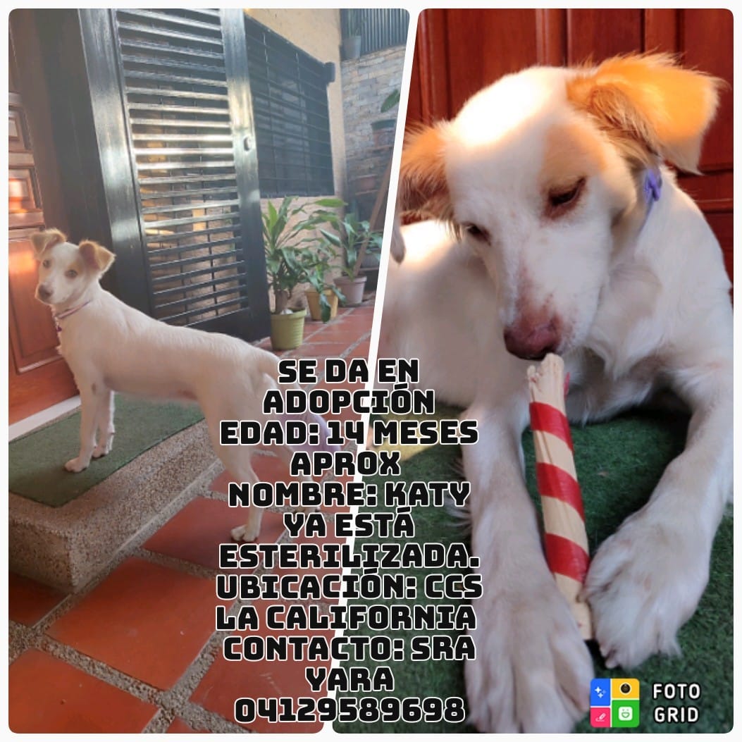 Katy busca una familia amorosa y responsable, Caracas