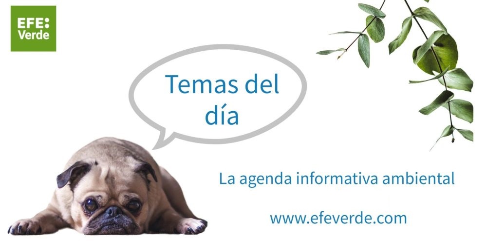 Hoy será noticia ambiental... #AgendaAmbiental de EFEverde / 30 de mayo i.mtr.cool/hrxukfsjrx