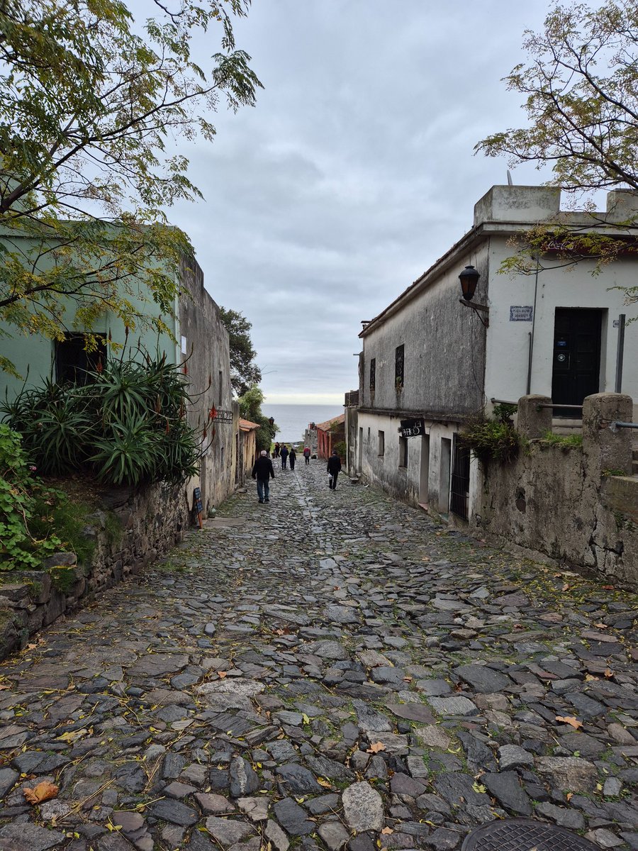 Lee Roden tweet media