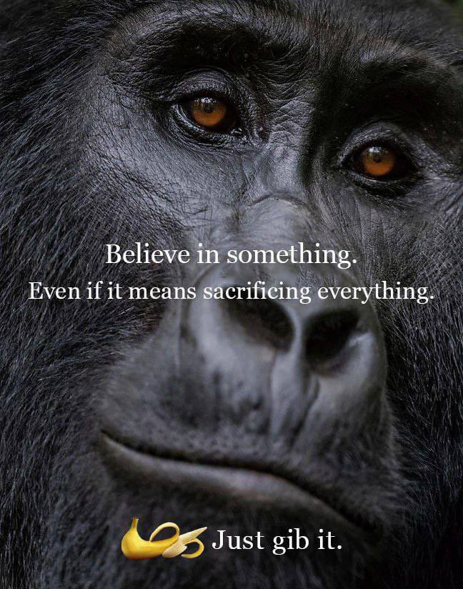 $gib up or $gib it everything