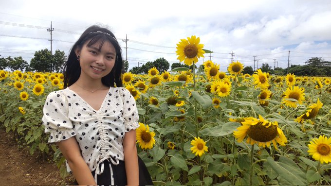 山本晴子のTwitter画像12