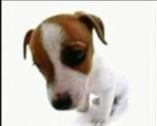 Cto_scott's tweet photo. @Opexe1 #nãolacrou https://t.co/UXL7Zl2l68