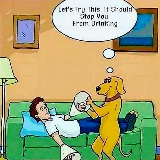 The Dog's Revenge 🤣🍷🍇🤣 #wine #winelover #winelovers #dog #puppies