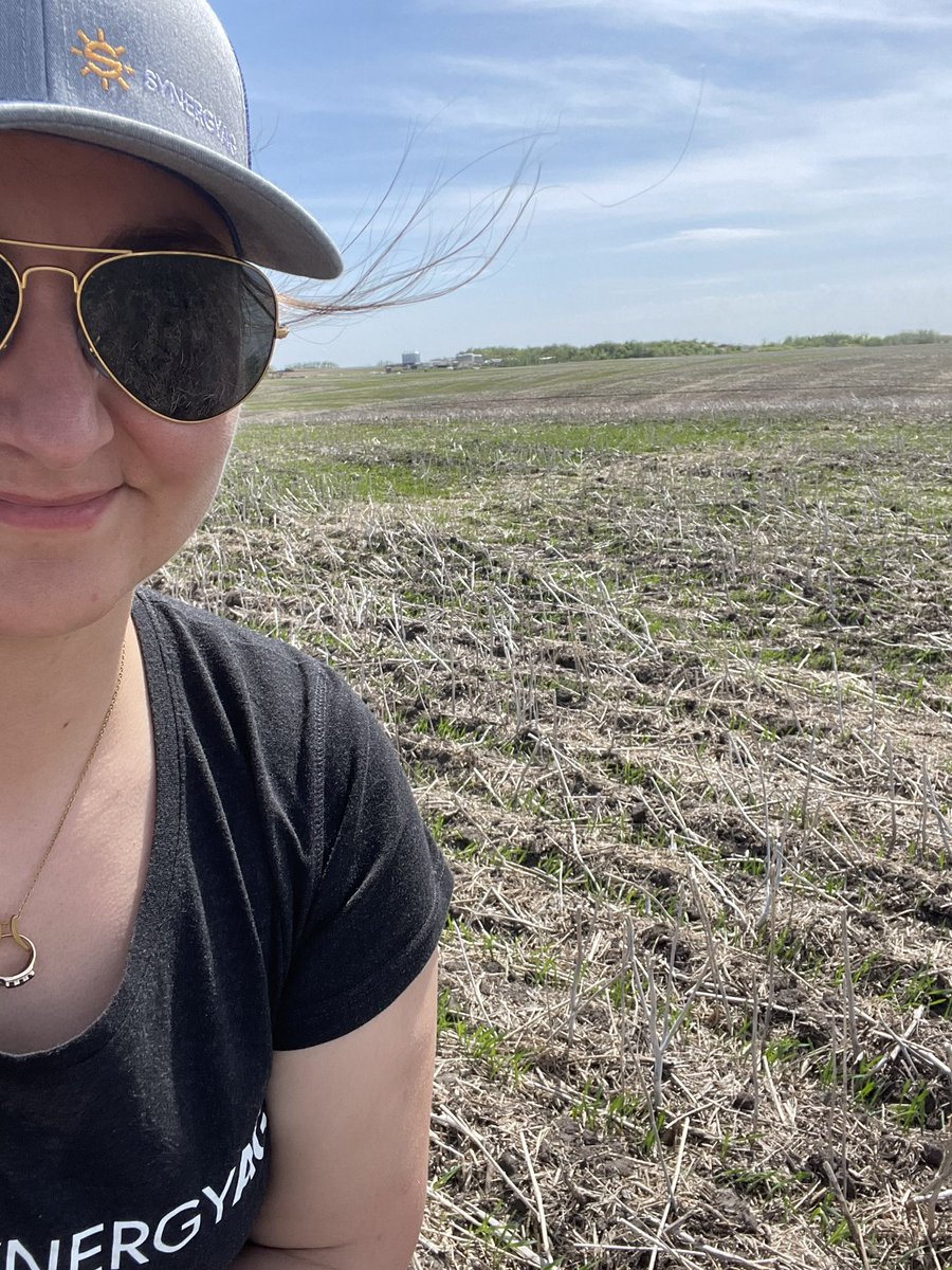 It might be a little breezy out there today, but that won’t stop us from scouting some wheat fields today. 
#SynergyAg #rootsyoucancounton #scouting #wheat #agronomy