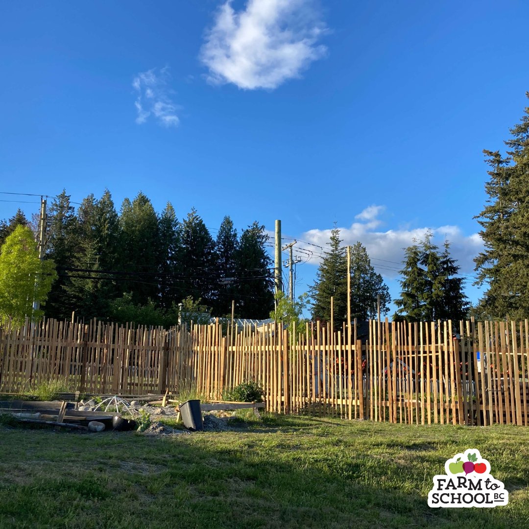 #StoriesfromtheField - Update from one of our F2SBC Grant recipients, Gibsons Elementary. Michy Stevens, a grade 2/3 educator and grant coordinator, built a deer fence around their school garden site with the help of her students, fellow teachers, and the community. 🌱🦌