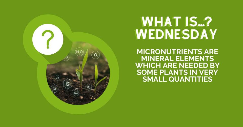 Fort Bend County Master Gardeners' What is ... Wednesday focuses on the term Micronutrients. Micronutrients are essential elements required by plants in small quantities for their growth and development.  Visit extension.purdue.edu/extmedia/ay/ay… and aggie-hort.tamu.edu/holisticgarden…