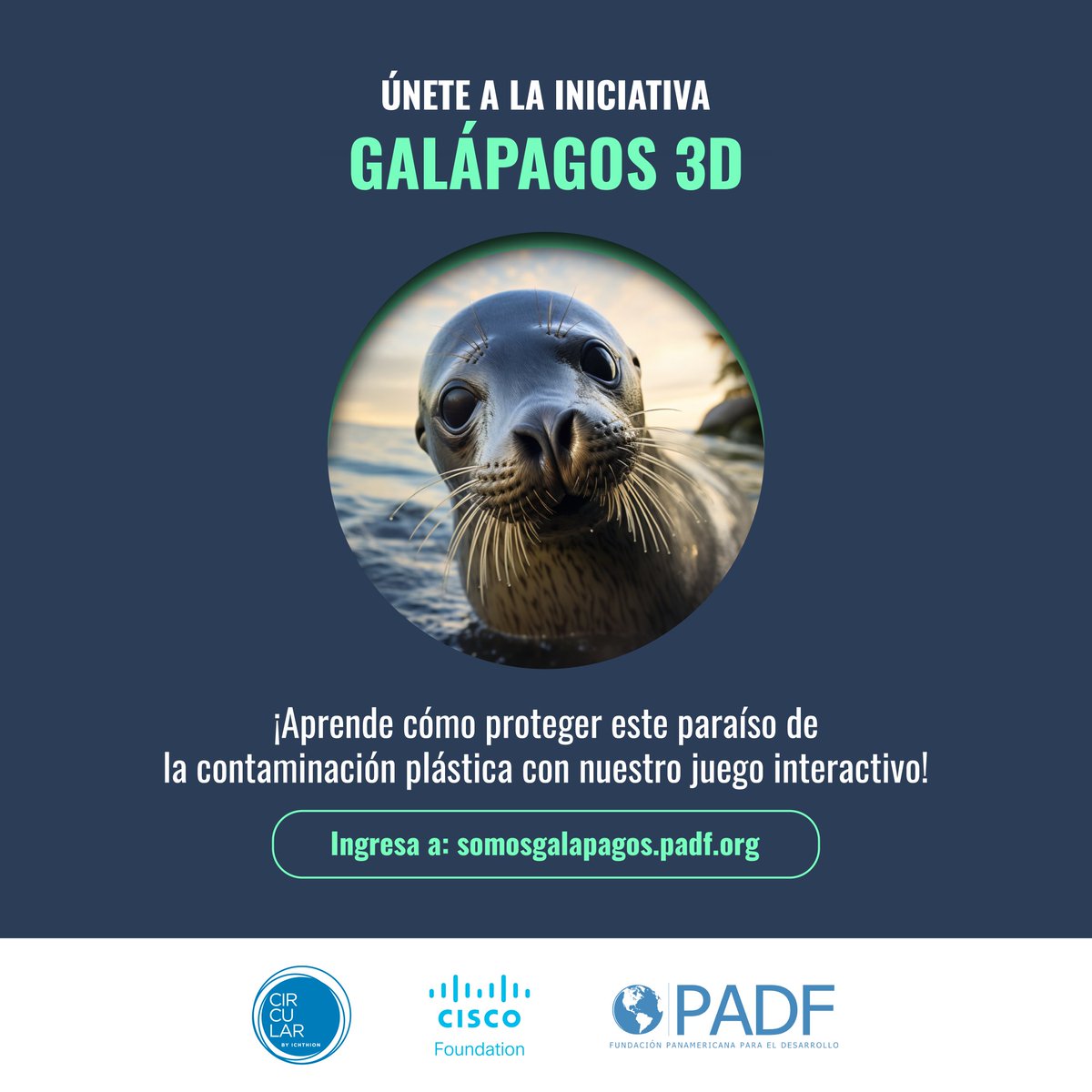Fundación Circular (@circularec) on Twitter photo ¡Las #Galápagos necesitan tu ayuda!
Participa en nuestro juego interactivo y aprende a separar tus residuos para proteger este paraíso.
Una iniciativa de: <a href="/PADFecuador/">PADF Ecuador</a>, CISCO Foundation y <a href="/CircularEC/">Fundación Circular</a> en la búsqueda de un futuro sostenible.
Juega aquí 👇 somosgalapagos.padf.org ¡Las #Galápagos necesitan tu ayuda!
Participa en nuestro juego interactivo y aprende a separar tus residuos para proteger este paraíso.
Una iniciativa de: <a href="/PADFecuador/">PADF Ecuador</a>, CISCO Foundation y <a href="/CircularEC/">Fundación Circular</a> en la búsqueda de un futuro sostenible.
Juega aquí 👇 somosgalapagos.padf.org