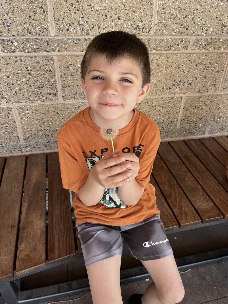 Ms. Murphy tweet media