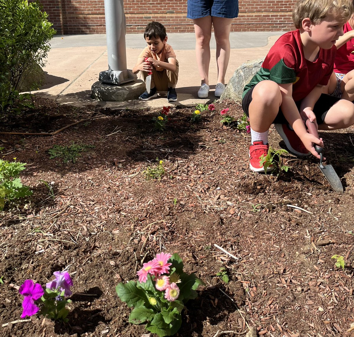 Ms. Murphy tweet media