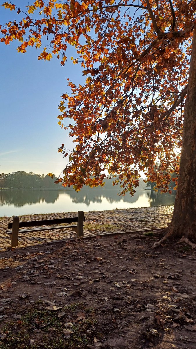 Otoño en Buenos Aires 🍁🧡