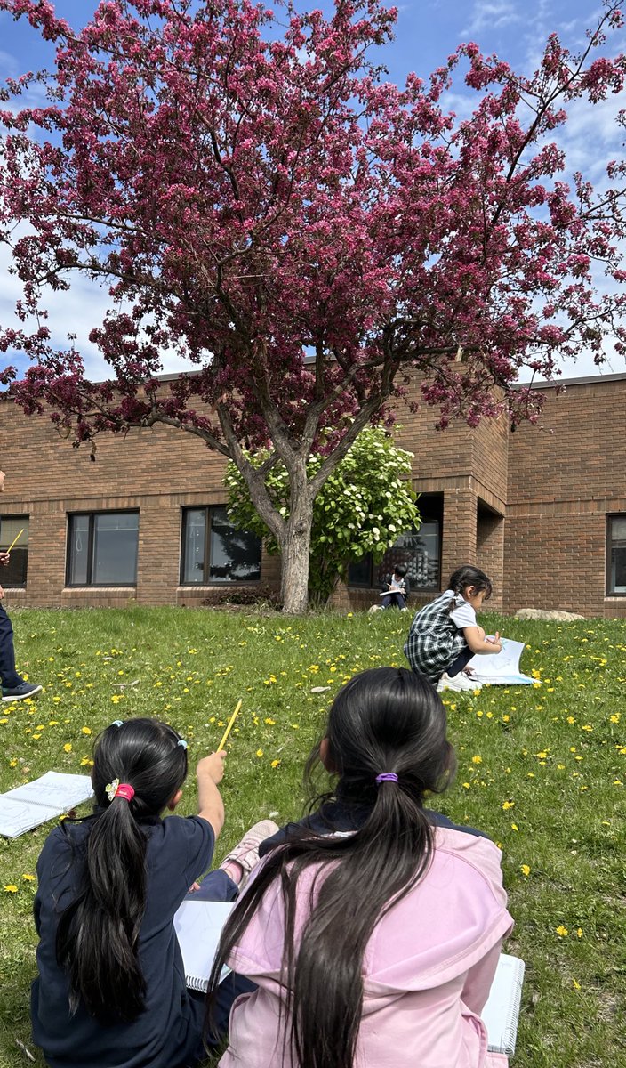 Mrs. Parlee tweet media