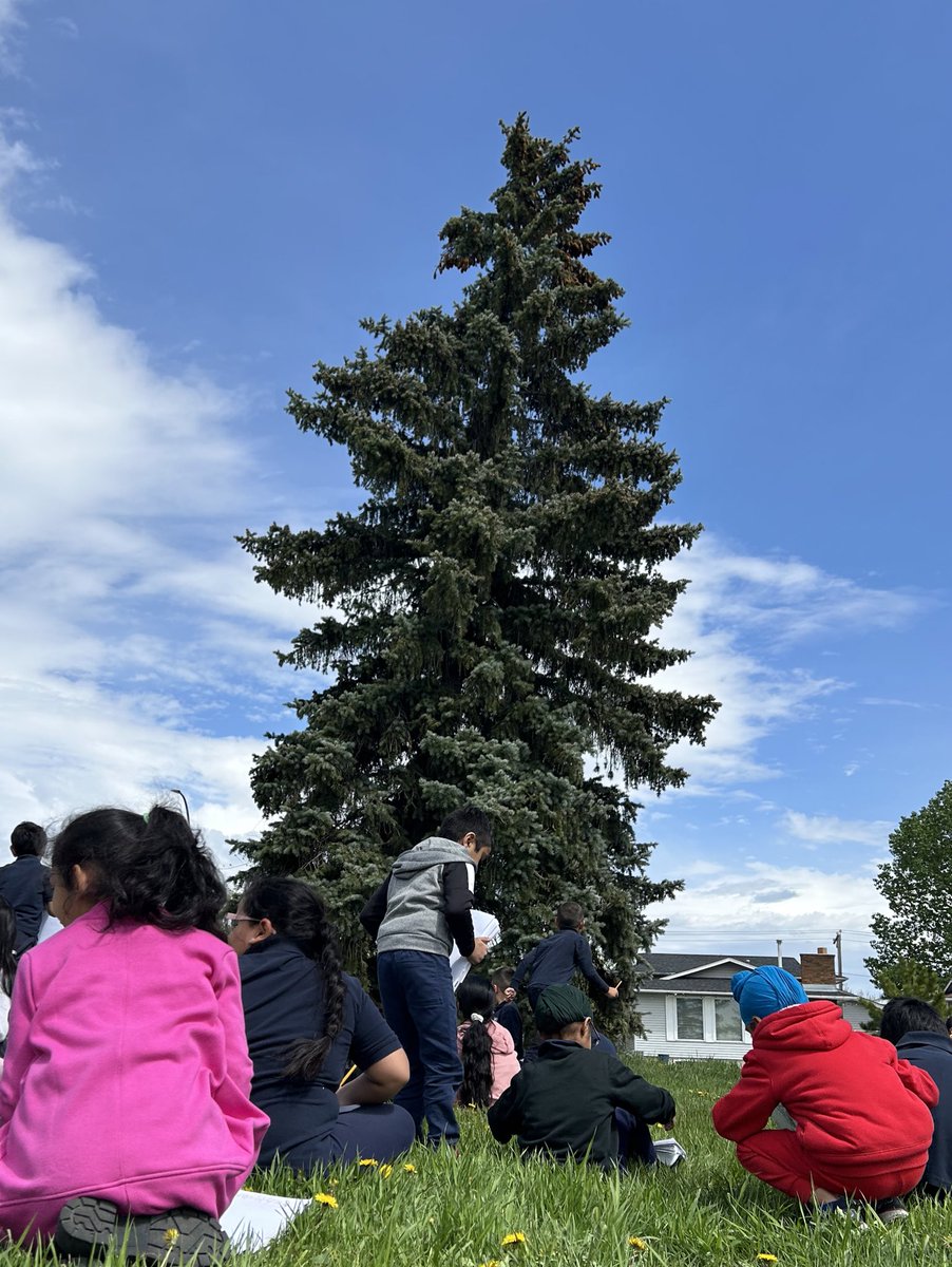 Mrs. Parlee tweet media