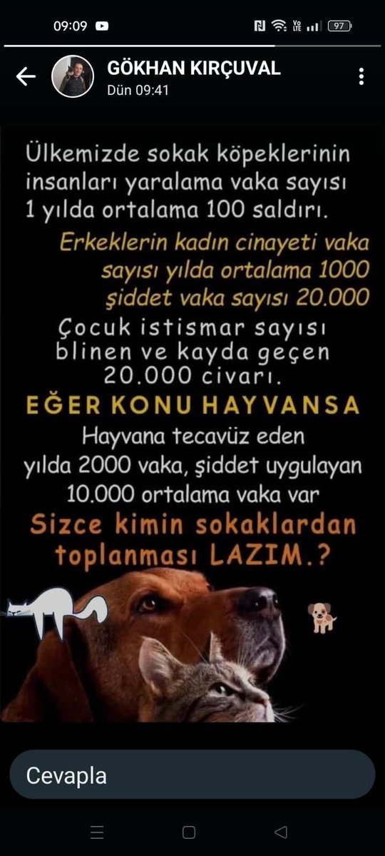 #SOKAKHAYVANLARISAHİPSİZDEĞİL