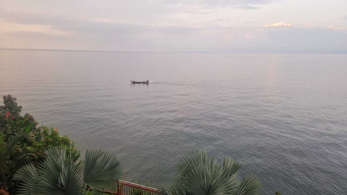 SaveCEO_US's tweet image. Last week, six years after my first visit, I travelled through the Democratic Republic of Congo.

It is a stunningly beautiful country, home to 100 million people, that has grappled with one of the most complex and pervasive crises for nearly three decades.

Here's what I saw 🧵