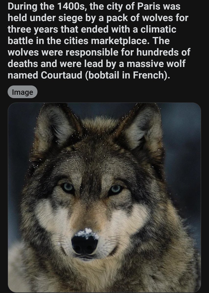 Very unsurprising actually

Wolves and Paris have something of a bloody history