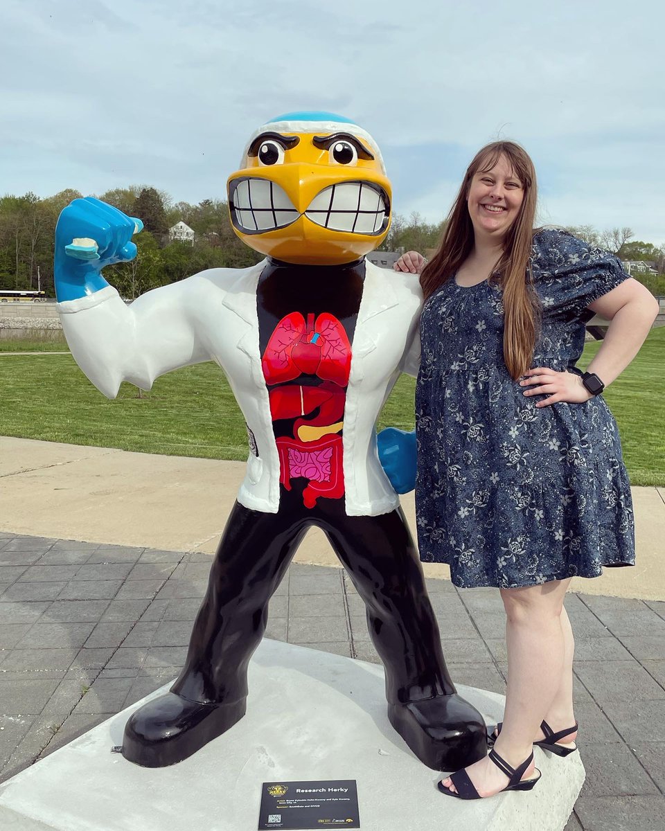 🙂 Graduate student Kyleakin Helm-Kwasny who works in the Klingelhutz lab is the artist behind Research Herky that was unveiled for Herky on Parade. 
bit.ly/3VnpA5a  Way to go Kyleakin!