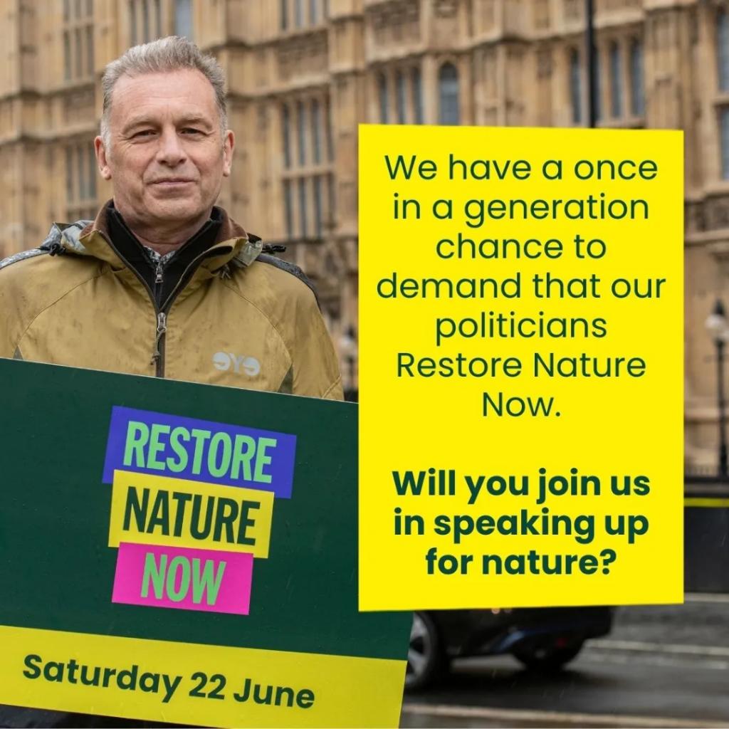 Will you march with us to protect nature? 🌿

Join 200+ groups on June 22 in London! We're demanding the next government #RestoreNatureNow

📍Park Lane, 12pm
🎨 Activities: face-painting, crafts
📢 March: 1-2:30pm

Pledge to march: restorenaturenow.com