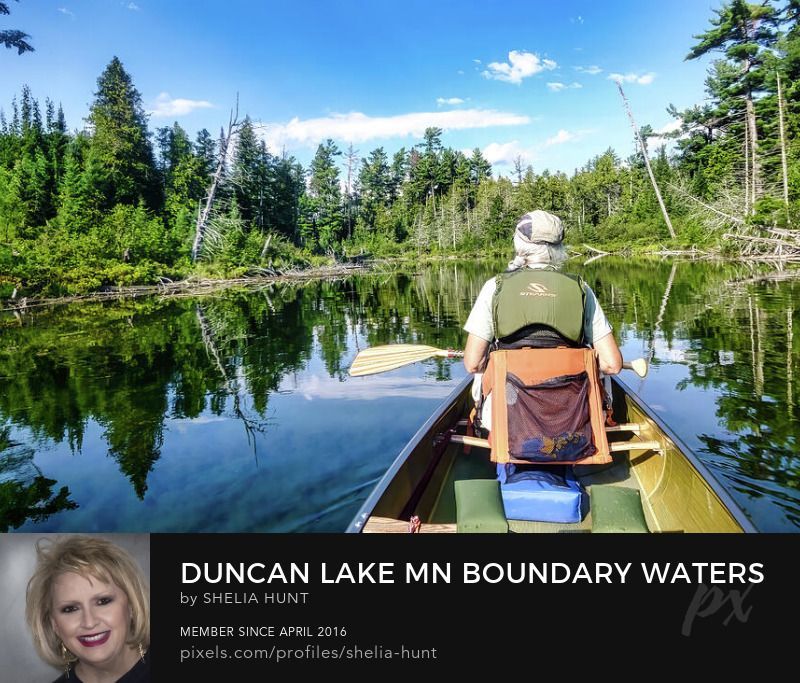 Check out this photo Minnesota Boundary Waters Canoe Area HERE---> buff.ly/3wUFTwD FREE SHIPPING and 15% Off TODAY! #SheliaHuntPhotography #BoundaryWatersCanoeArea #BWCA #BuyIntoArt #Minnesota #canoeing
