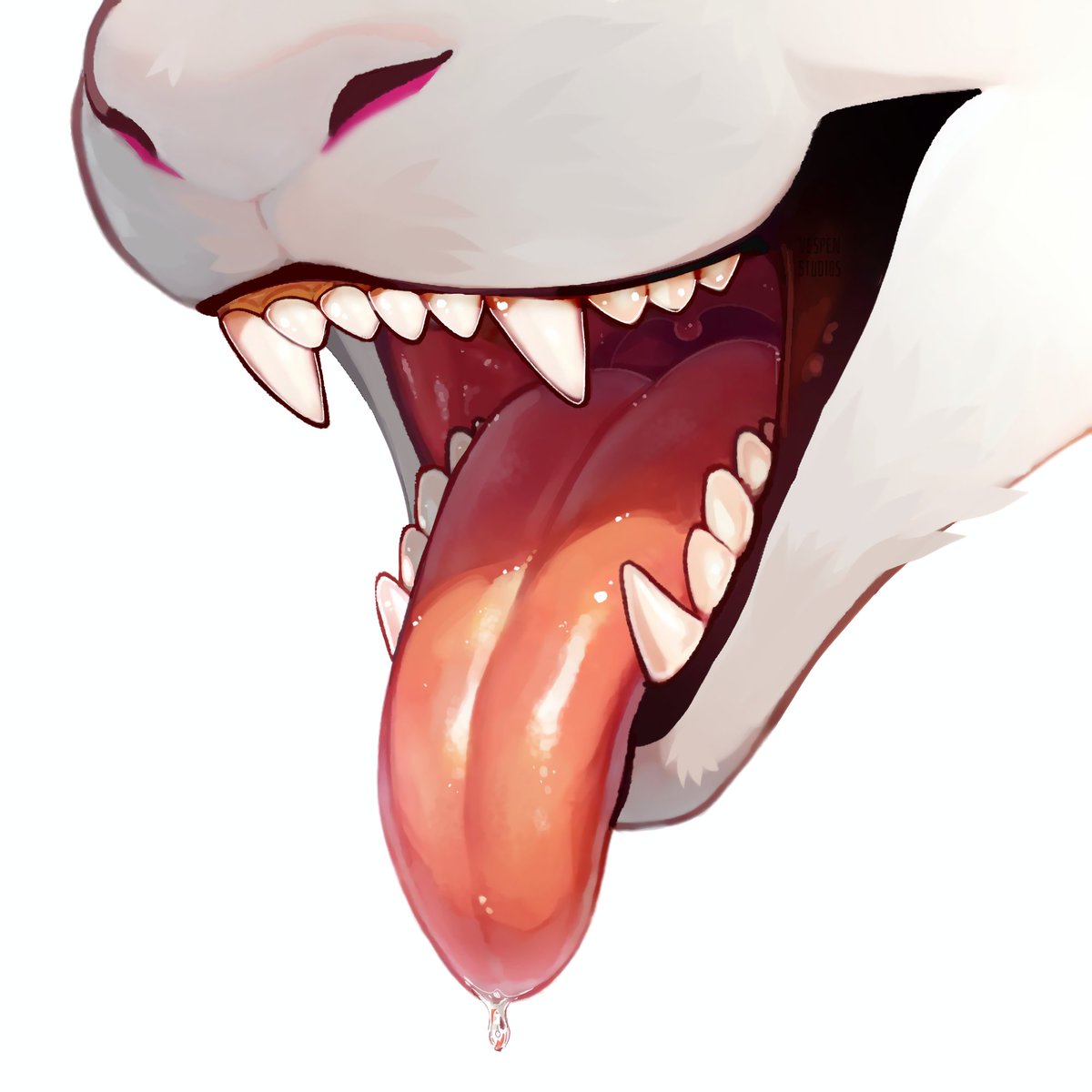 Squishy 'n Shiny