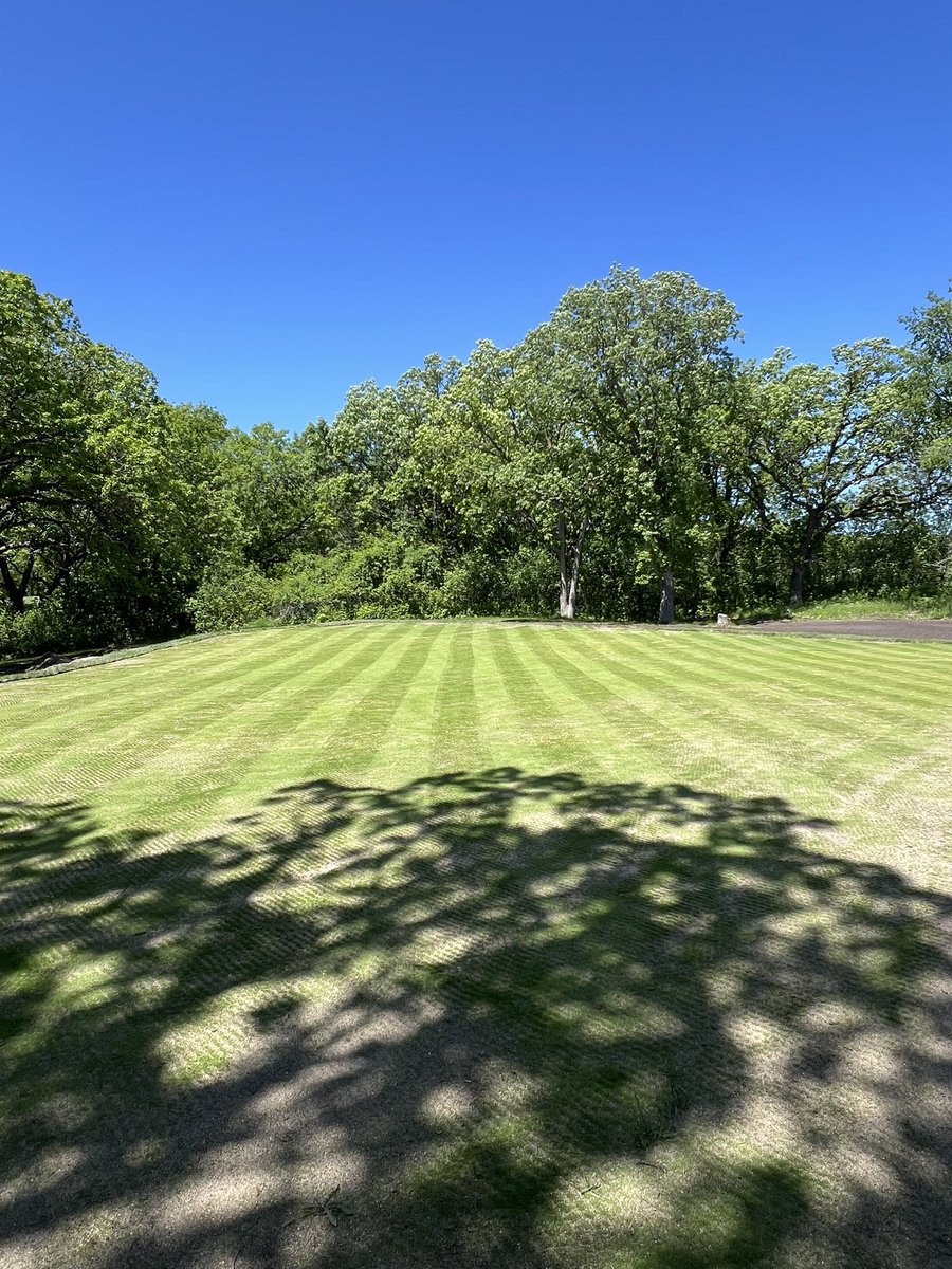 First mow on chipping green area this morning. .200, 20 days after seeding.