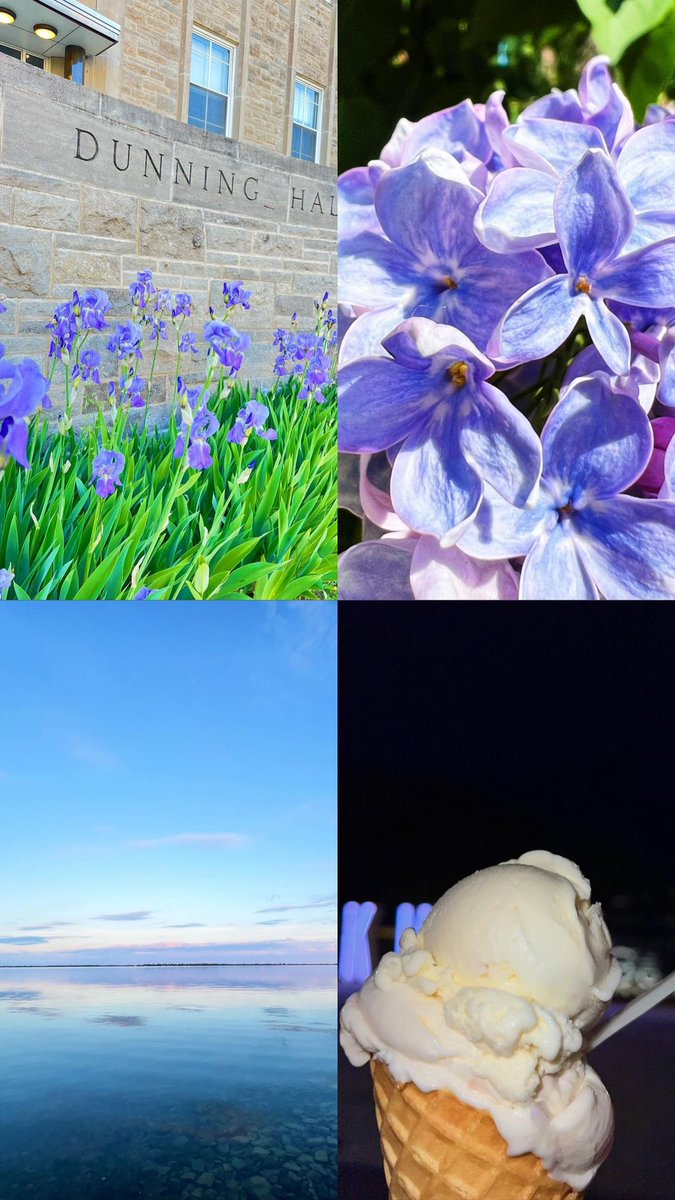 Yerin Chung tweet media