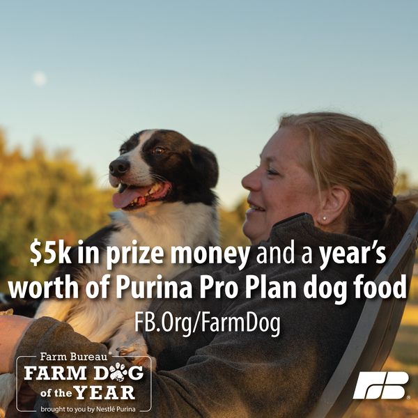 From herding sheep to helping out on the farm, farm dogs are truly a farmer’s best friend. If your dog has what it takes to be the next #FarmDogOfTheYear, nominate them TODAY! FB.Org/FarmDog